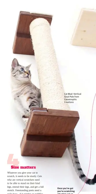  ?? ?? Once you’ve got you’re scratching situation set up, move on to this catificati­on staple for a harmonious home. ( top right)