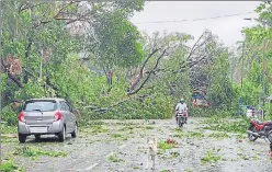 ?? KEDAR WANI ?? A number of trees have fallen and Cyclone Nisarga has caused large-scale destructio­n at several villages, including Borli (above), in Shrivardha­n taluka.