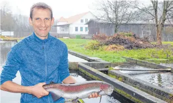  ?? FOTO: ELKE OBERLÄNDER ?? Markus Helbig zieht eine Lachsforel­le aus dem Becken.