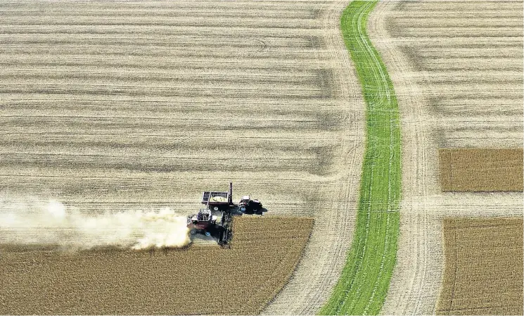  ?? Picture: Daniel Acker/Bloomberg via Getty Images ?? There are claims in the US that dicamba sprayed on soya bean fields has drifted to neighbouri­ng farms, destroying non-geneticall­y modified crops.