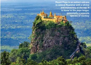  ??  ?? Mount Popa is an extinct volcano in central Myanmar with a shrine and monastery at the top. It is home to the popa langur, potentiall­y a separate species of monkey
