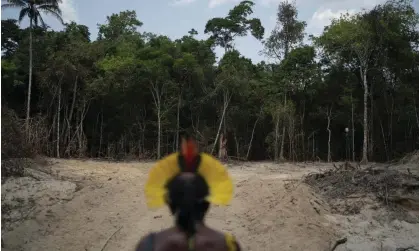  ?? Photograph: Léo Corrêa/AP ?? An Indigenous leader looks at a path created by loggers in Altamira, Pará state, Brazil. Some projects fail to provide safeguards for vulnerable forest communitie­s, says the report