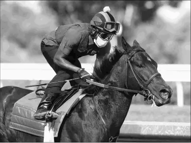  ?? BARBARA D. LIVINGSTON ?? Serengeti Empress’s speed could be compromise­d with her rail draw in the Ballerina.