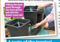  ??  ?? Fi ing the feed mats through the base of the pot into the water reservoir