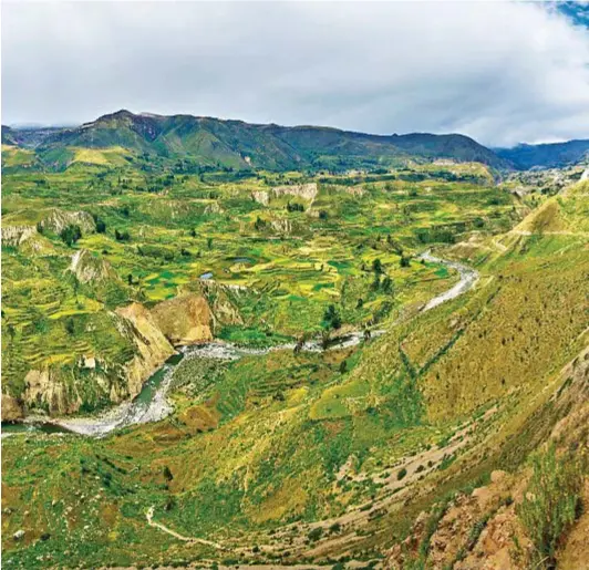  ??  ?? Il paesaggio che cambia Il Canyon di Colca nel sud del Paese, a 160 chilometri da Arequipa. È la terza destinazio­ne turistica del Perù. Con una profondità di 3.270 metri, è uno dei canyon più profondi al mondo