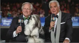  ?? SUBMITTED PHOTO ?? Co-hosts David Frei and John O’Hurley will again host the National Dog Show but without the benefit of an audience this year.