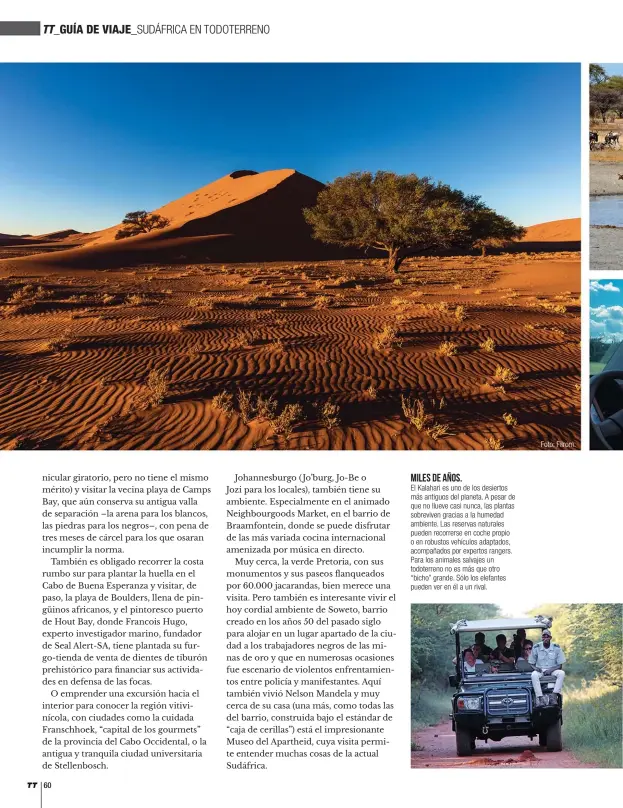  ??  ?? MILES DE AÑOS. El Kalahari es uno de los desiertos más antiguos del planeta. A pesar de que no llueve casi nunca, las plantas sobreviven gracias a la humedad ambiente. Las reservas naturales pueden recorrerse en coche propio o en robustos vehículos...
