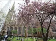 ?? KATHY WILLENS—THE ASSOCIATED PRESS ?? In this May 2, 2018, photo, people walk outside the historic Trinity Church, through the churchyard and cemetery in New York.