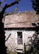  ?? —NATHANALCA­NTARA ?? TIED DOWN Sturdy plastic rope called “pospos” in Batanes province straps down the thatch roof of an Ivatan stone house in Itbayat town as residents await the storm’s arrival.