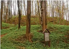  ?? Foto: Ralph Manhalter ?? Diese Hügel erinnern an eine ehemalige Befestigun­gsanlage mitten im Wald in Nord holz.