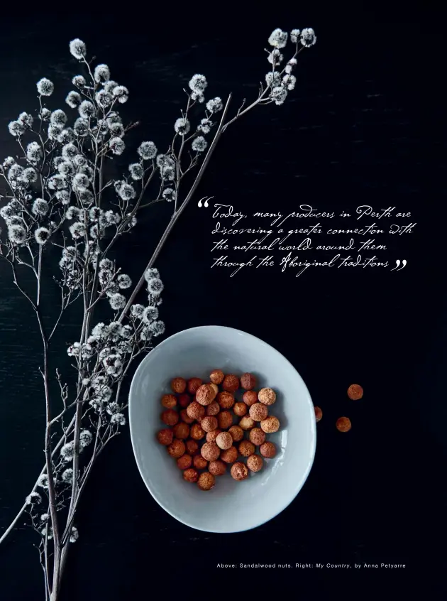  ??  ?? Above: Sandalwood nuts. Right: My Country, by Anna Petyarre