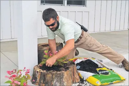  ?? [DAWES ARBORETUM] ?? Peter Lowe uses a cross-section of an old tree as a planter for colorful annuals.