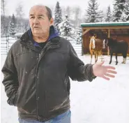  ?? JEFF MCINTOSH/THE CANADIAN PRESS ?? Bob Henderson, pictured with two wild horses that have been tamed, is president of the Wild Horses of Alberta Society. He wants the animals to have protected status.