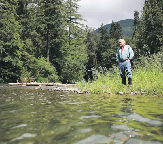  ?? CHAD HIPOLITO, VANCOUVER SUN ?? Conservati­onist Joe Saysell says visitors and sunscreen are affecting the health of the river near his home on the Cowichan River.