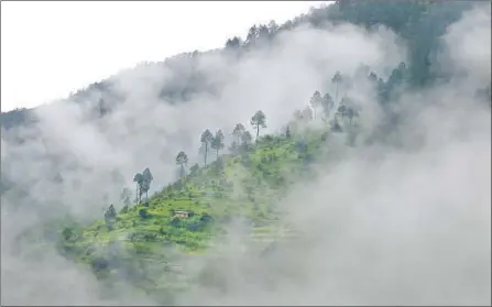  ?? Photog r aphs by Tim Bowden For The Times ?? MONSOON MIST hangs low outside Adhikarich­aur, Nepal, where Tejendra Bhandari’s family lives at the edge of the Himalayas.