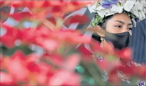  ?? ?? A woman from the native Xochimilco community helps launch a sales drive for Christmas Poinsettia­s last week as authoritie­s move to boost local traders in Mexico City