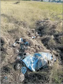  ??  ?? PERLEMOEN DUMPED: The Herald reader Malcolm Dodds sent in this picture of perlemoen shells that had been thrown down in an open area in Port Elizabeth’s Sherwood