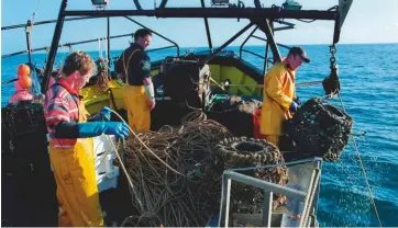  ??  ?? Crab fishing in Cardigan Bay off Aberystwyt­h harbour in Wales (top) and off the coast of south-west Devon (above). Demand has increased dramatical­ly since the embargo on Chinese exports has been lifted