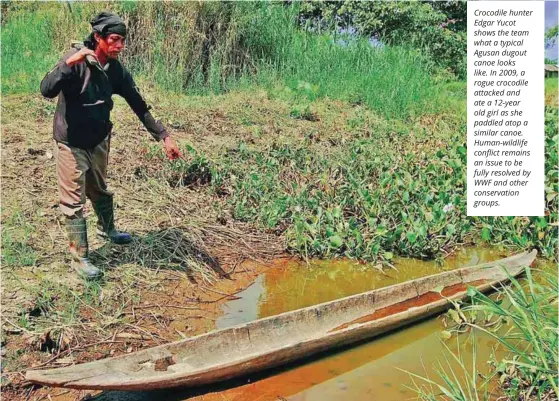  ??  ?? Crocodile hunter Edgar Yucot shows the team what a typical Agusan dugout canoe looks like. In 2009, a rogue crocodile attacked and ate a 12-year old girl as she paddled atop a similar canoe. Human-wildlife an issue to be fully resolved by WWF and other conservati­on groups.