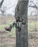  ?? ?? A memorial at a park where residents said at least 18 militia members died at the beginning of the war in a disastrous attempt to ambush a Russian column in Kherson, Ukraine, on Nov 21.