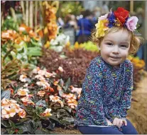  ?? COURTESY OF PHILADELPH­IA FLOWER SHOW ?? The Philadelph­ia Flower Show opens Saturday and runs through March 12 at the Pennsylvan­ia Convention Center, Philadelph­ia.