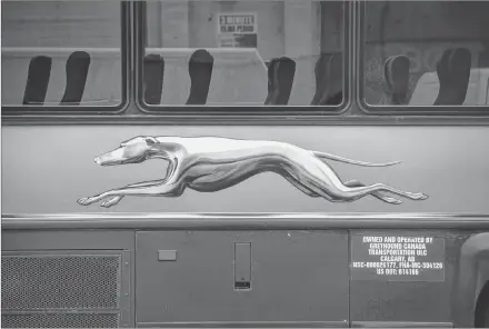  ?? CP PHOTO ?? The Greyhound logo is seen on one of the company’s buses, in Vancouver, on Monday July 9, 2018. The federal government says it will step in to support the transporta­tion needs of some northern and remote communitie­s affected by the closure of Greyhound bus operations in western Canada and northern Ontario.