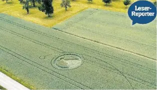  ??  ?? Der Kornkreis in einem Feld in Uster muss zwischen Sonntag und Montag entstanden sein.