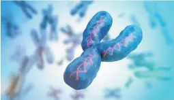  ?? / 123RF.COM ?? The Y chromosome is the target of a new DNA test aimed at identifyin­g rapists.