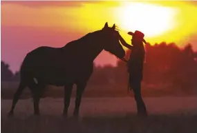  ??  ?? even horses near the end of their productive riding career can still make great companions.