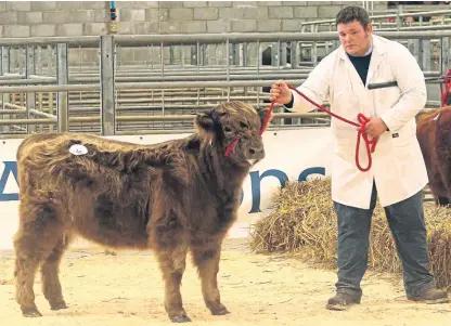  ??  ?? Sonasag 2nd of Cladich, with Stuart Campbell, and, below, Dougie Fountain with Capleadh Prioseag.