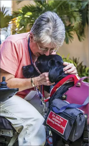  ?? METRO CREATIVE PHOTO ?? Service dogs can be trained to help people with disabiliti­es with any number of life tasks. Not only that, but they also provide unfalterin­g companions­hip and genuine warmth.