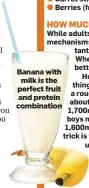  ??  ?? Banana with milk is the perfect fruit and protein combinatio­n