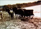  ??  ?? Les agriculteu­rs venaient récupérer les algues très bonnes pour les cultures. Il fallait que trois orages les rincent au préalable pour leur enlever le sel.