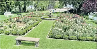  ??  ?? BEAUTIFUL: Sterkstroo­m women visited the Pringles’ garden at Eildon in the Bedford district during the recent Bedford Rose Festival