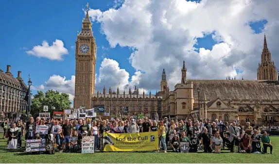  ?? Andrew Aitchison/Getty Images ?? Campaigner­s and wildlife groups supporting the Badger Trust gathered in Parliament Square yesterday for a national day of action calling for the Government to ‘end the cull’ as intensive badger killing began again yesterday. See Pages 18&19