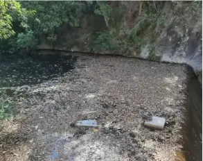  ?? ARESEP ?? El AyA debió detener, semanas atrás, la operación de la planta cuando un obrero percibió olor a podrido en el agua.