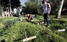  ??  ?? Les élèves sont aidés par les trois coordinatr­ices mais aussi par Bruno Meunier, professeur d’horticultu­re.