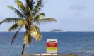  ?? AFP/Getty Images ?? A sign warns of shark danger at a beach in Nouméa. Photograph: Ludovic Marin/