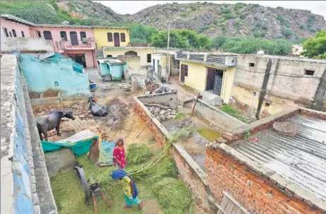  ?? SANJEEV VERMA/HT PHOTO ?? Around 240 villages in the Aravalli range, mainly inhabited by clans of Gujjars, abandoned cattle grazing and agricultur­e for mining in the 90s. Though the business brought money and prosperity, it was banned by the Supreme Court in 2002 due to its...