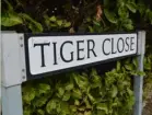  ?? Picture: Steve Smyth ?? SIGN OF FEAR: Parents want Tiger Close renamed to Tiger Far Away