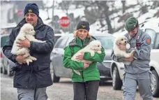  ?? ALESSANDRO DI MEO, EUROPEAN PRESSPHOTO AGENCY ?? Rescuers carry three puppies found alive Monday in the rubble of the Rigopiano Hotel in Abruzzo, Italy. The sheepdog puppies are said to be in good health after being buried in the snow for nearly five days after an avalanche buried the hotel.