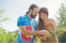  ?? Lewis Geyer, Longmont Timescall ?? Ed and Jessica Bates look at a bud they harvested in their 5acre hemp field in Boulder County on Aug. 28. They are opening a CBD specialty store where they will sell products made from hemp they grow.