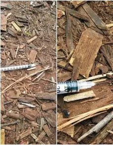  ?? PHOTO: CONTRIBUTE­D ?? NOT HAPPY: Jennifer Hopton shared a photo of a syringe in her garden.