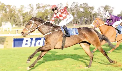  ?? Picture: JC Photograph­ics ?? IN FORM. Shortstop won his last three races well and should have still more in the tank when he runs in Race 4 at the Vaal tomorrow.