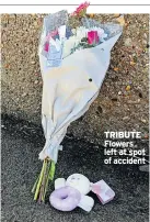  ??  ?? TRIBUTE Flowers left at spot of accident