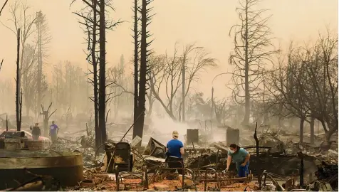  ?? Foto: Kent Porter, The Press Democrat, AP, dpa ?? Nur die T Shirts der verzweifel­ten Bewohner sind noch Farbtupfer in der von Staub und Ruß überzogene­n Feuerwüste von Santa Rosa. Die Buschbränd­e haben über 20000 Menschen in Nordkalifo­rnien aus ihren Häusern vertrieben.