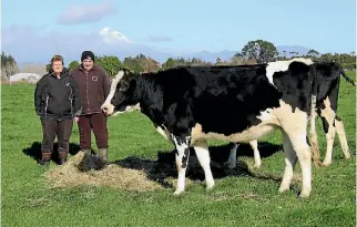  ?? PHOTO: SUE O’DOWD/FAIRFAX NZ ?? Success in the Valden Cow of the Year has come to Leeanne and Wayne Taylor, of Tikorangi, for the fourth time.