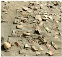  ?? ?? Artefacts: Pottery shards at the site in Eridu