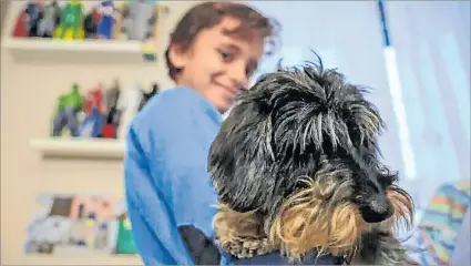  ?? KIKO HUESCA ?? Personaje. El niño Javier Bañuelos, trasplanta­do, posa junto a su mascota de terapia y compañía en su casa.