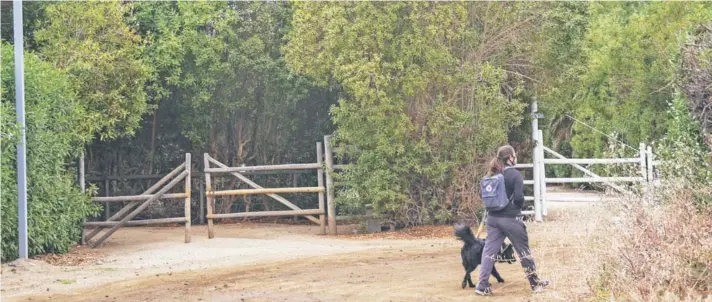  ??  ?? Sector El Gambar, en Cachagua, donde se realizó una nueva fiesta clandestin­a el lunes pasado, en que participab­an 20 personas.